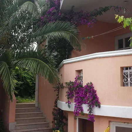 Vladimir 1262 Apartment